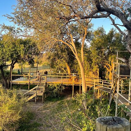 Rhino Walking Safaris Hotel Skukuza Bagian luar foto