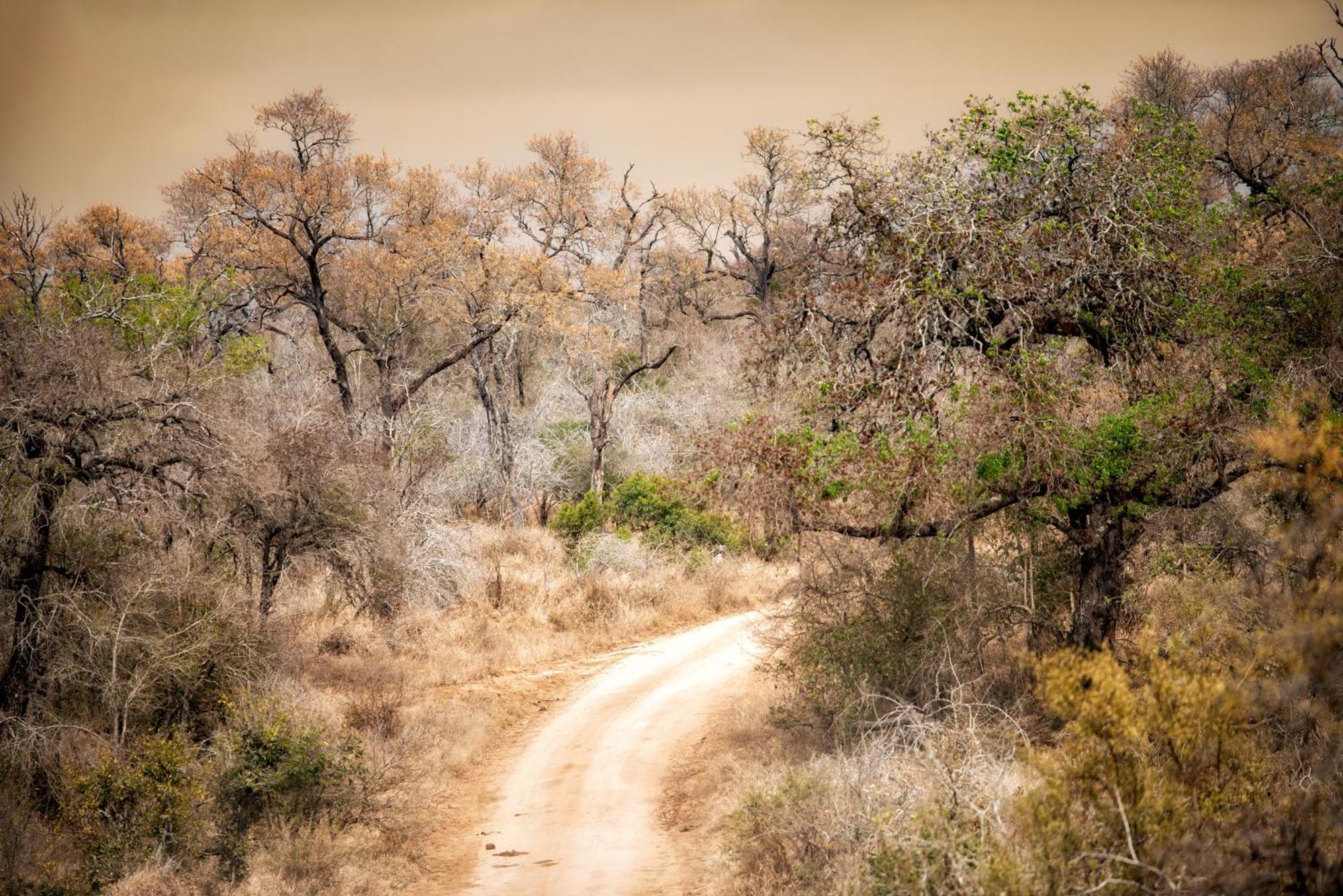 Rhino Walking Safaris Hotel Skukuza Bagian luar foto