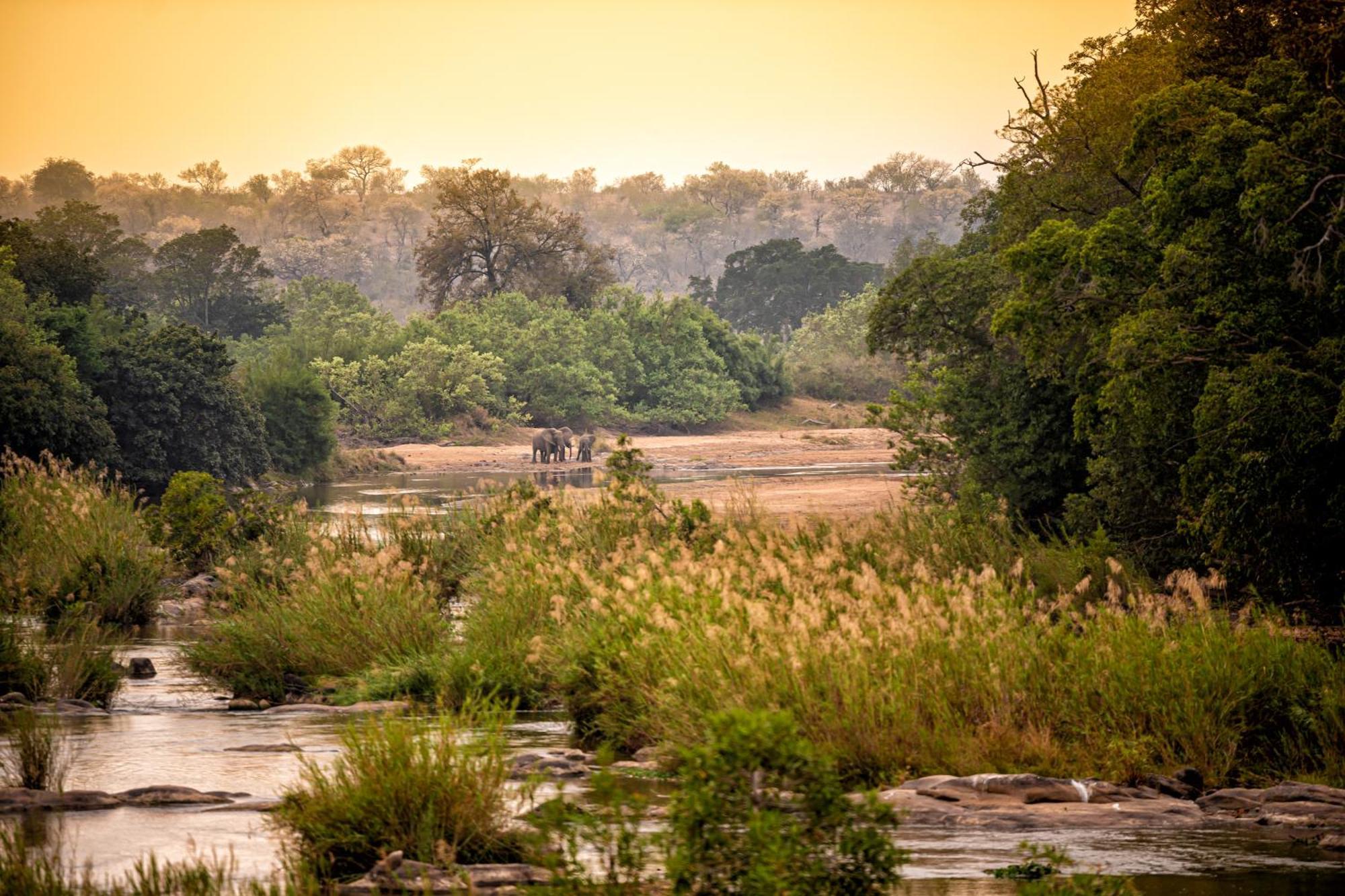 Rhino Walking Safaris Hotel Skukuza Bagian luar foto