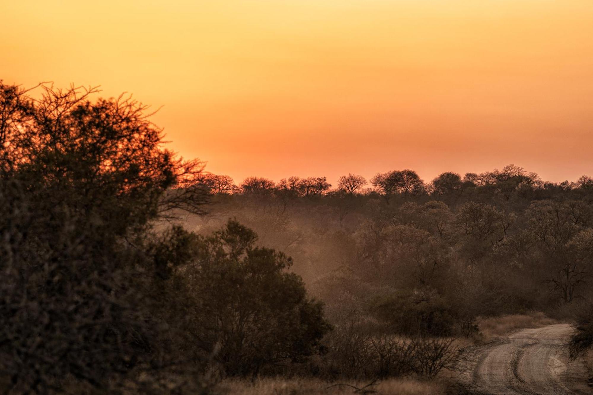 Rhino Walking Safaris Hotel Skukuza Bagian luar foto