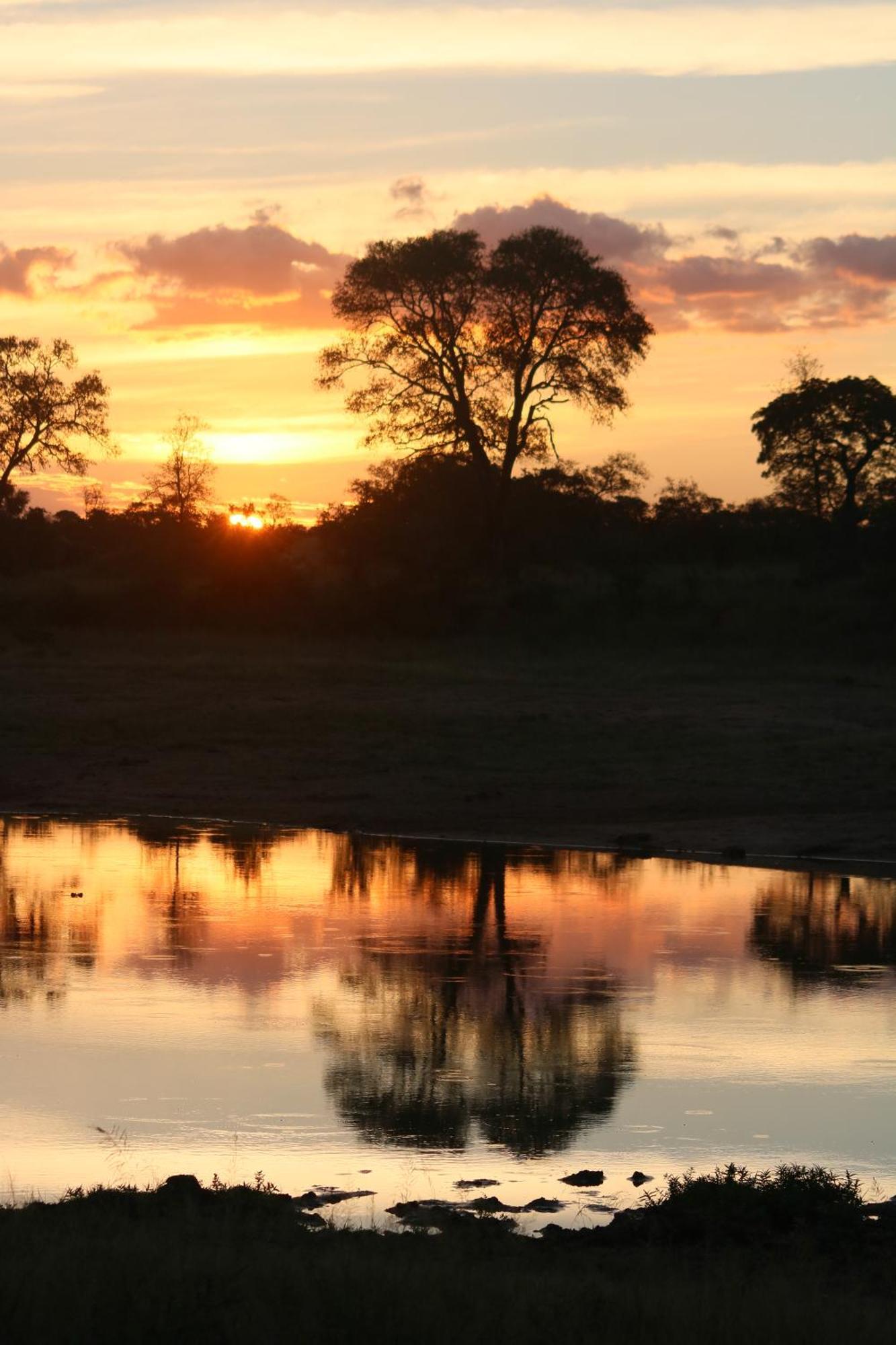 Rhino Walking Safaris Hotel Skukuza Bagian luar foto