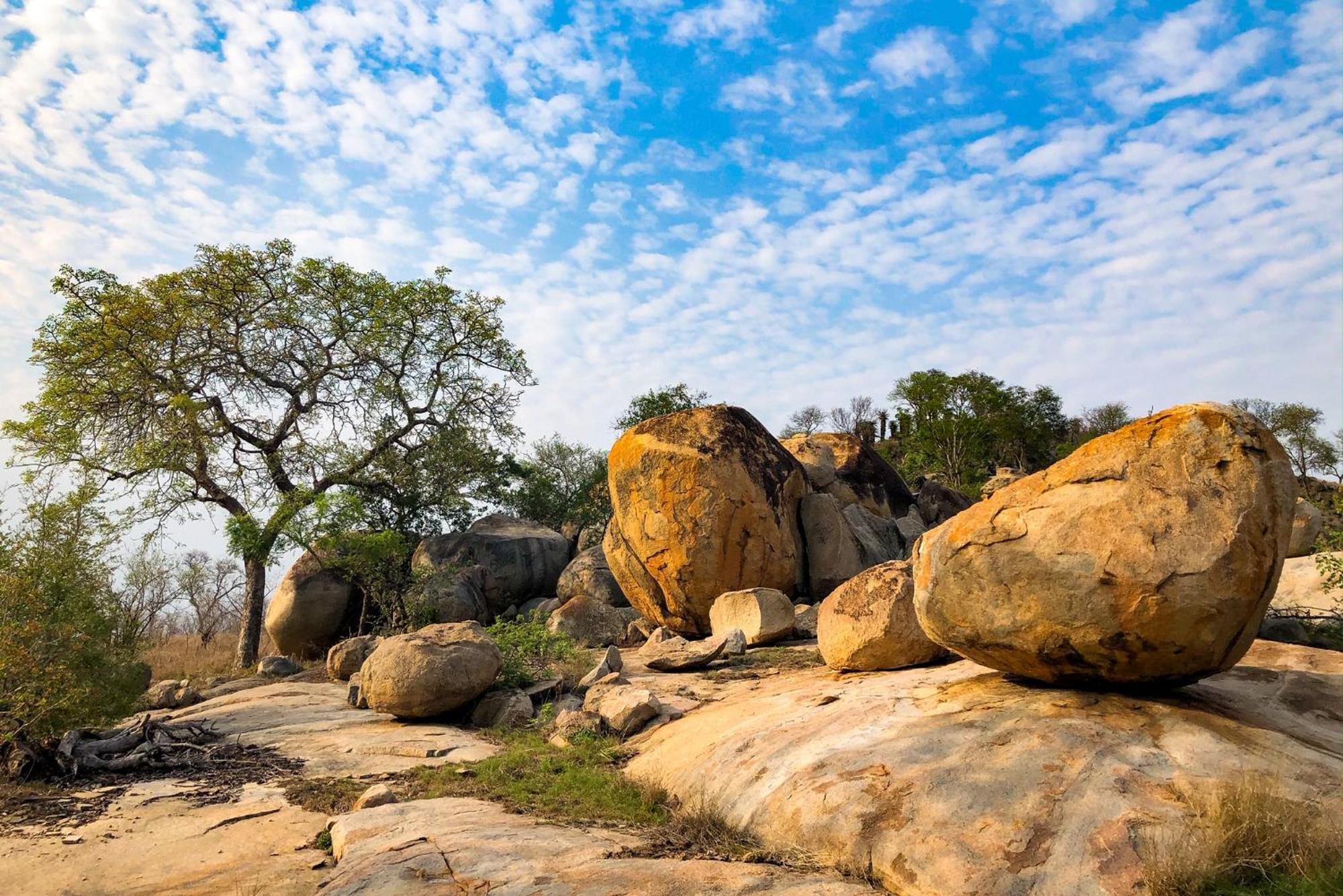 Rhino Walking Safaris Hotel Skukuza Bagian luar foto