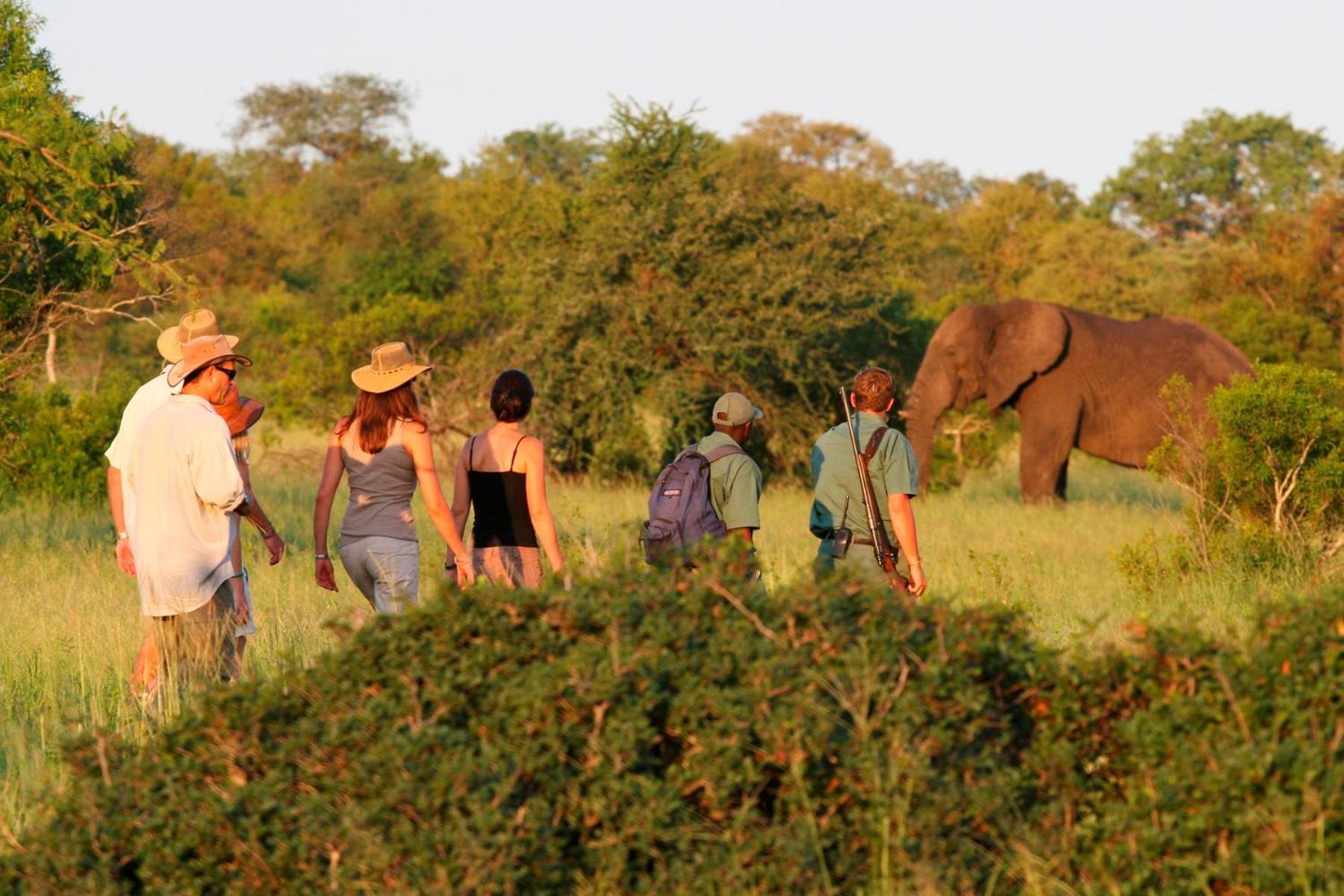 Rhino Walking Safaris Hotel Skukuza Bagian luar foto