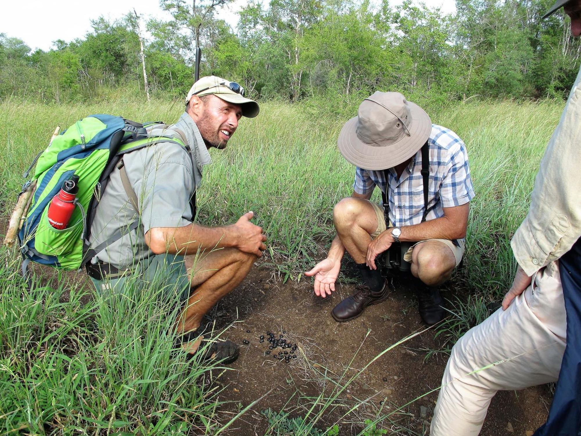 Rhino Walking Safaris Hotel Skukuza Bagian luar foto
